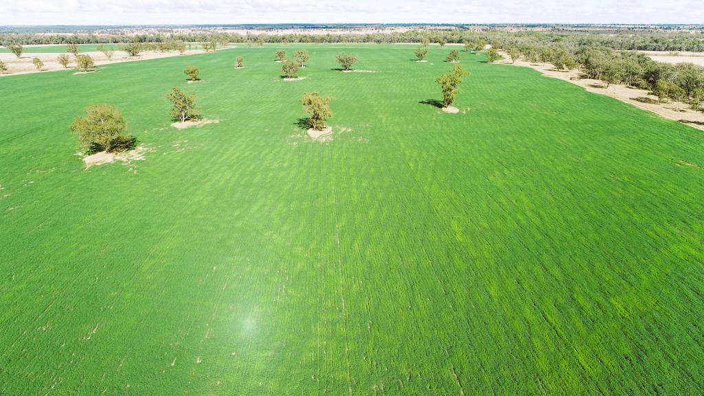 'Glencoe'/28547 Carnarvon Hwy, Roma, QLD 4455