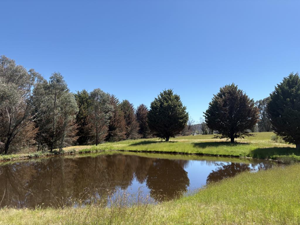 950 Yarck Rd, Yarck, VIC 3719