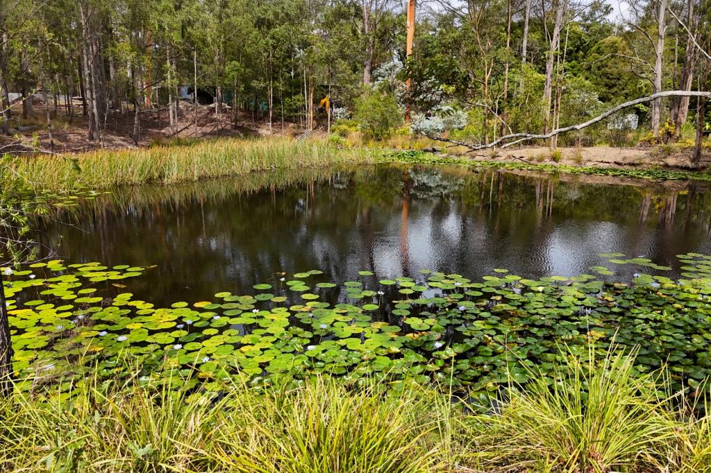 75 Smiths Creek Rd, Kundabung, NSW 2441