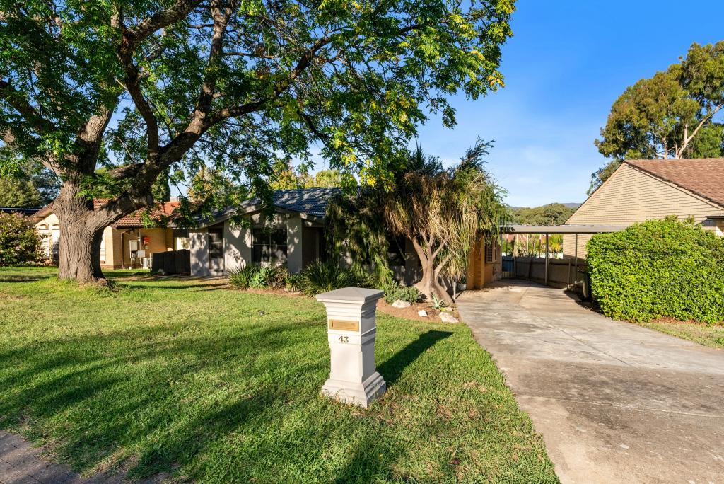 43 Flockhart Ave, Valley View, SA 5093