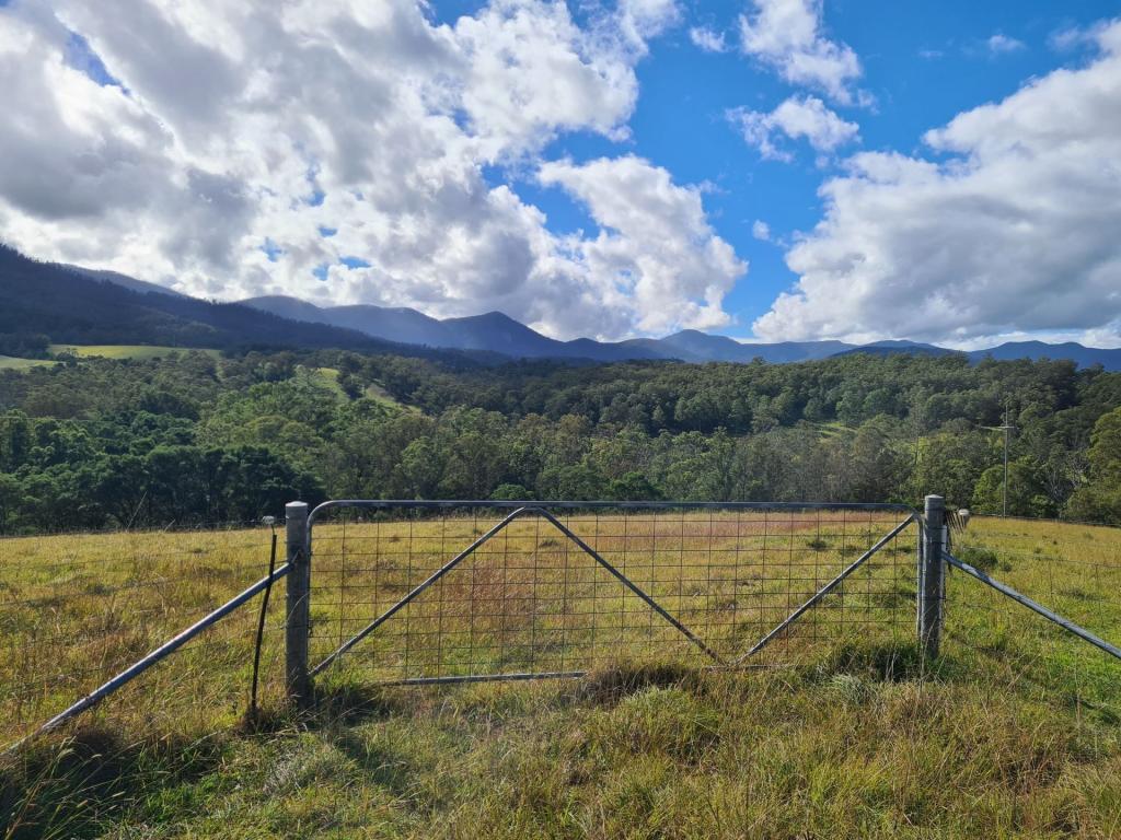 3644 SNOWY MOUNTAINS HWY, BEMBOKA, NSW 2550