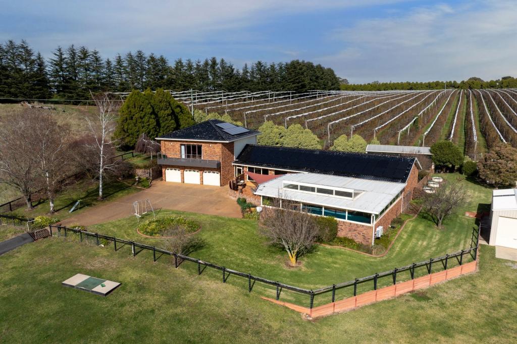 19 Wallace Lane, Canobolas, NSW 2800