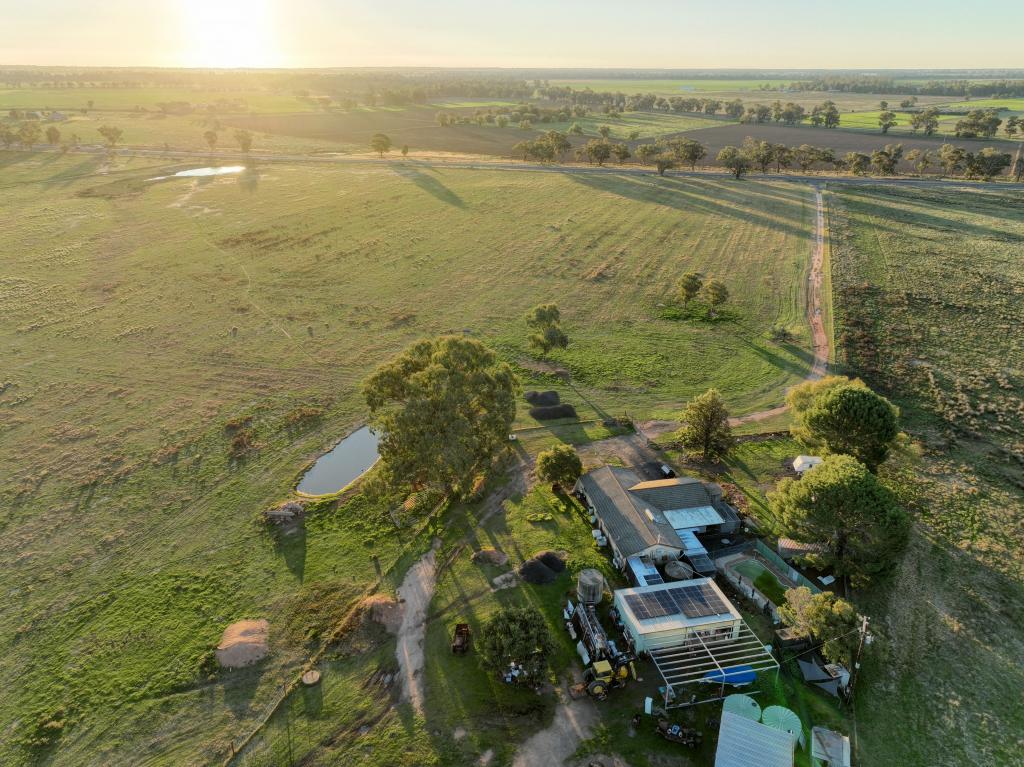 169l Narromine Rd, Dubbo, NSW 2830