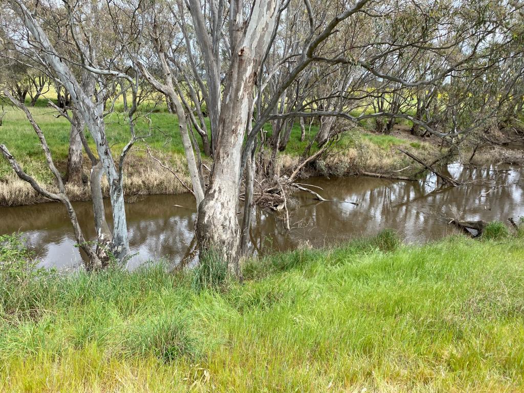 LOT 14 BROWNE LANE, MUSKERRY, VIC 3557