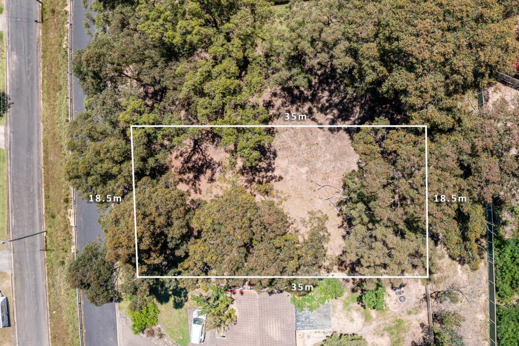 51 ALBATROSS RD, CATALINA, NSW 2536