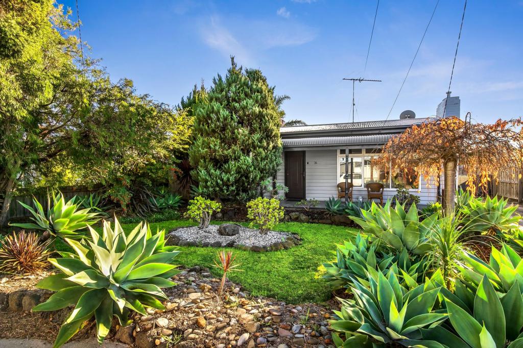 36 Pavo St, Belmont, VIC 3216