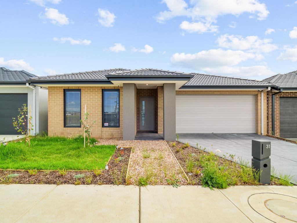 31 Tesaluke Ave, Clyde North, VIC 3978