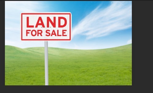 Contact Agent For Address, Leppington, NSW 2179