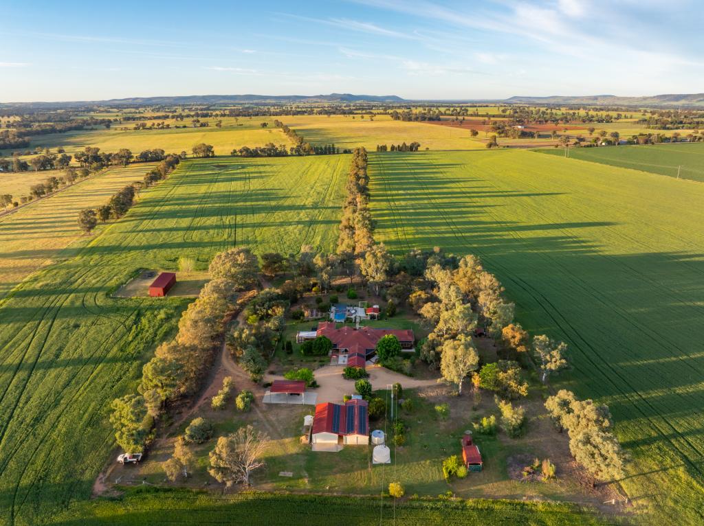 'Matilda' 147 Noonbinna East Rd, Cowra, NSW 2794