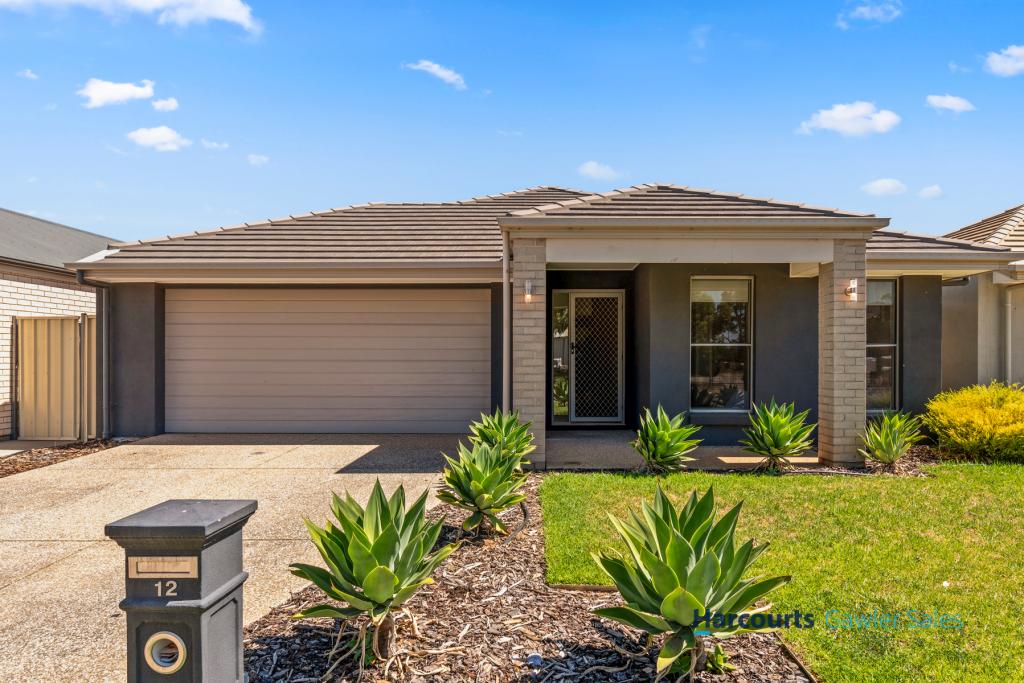 12 Wyatt Rd, Direk, SA 5110