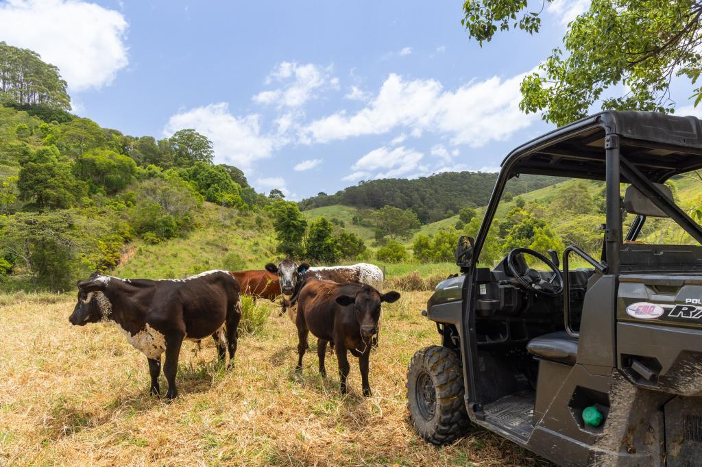 37 Simpsons Rd, Cootharaba, QLD 4565