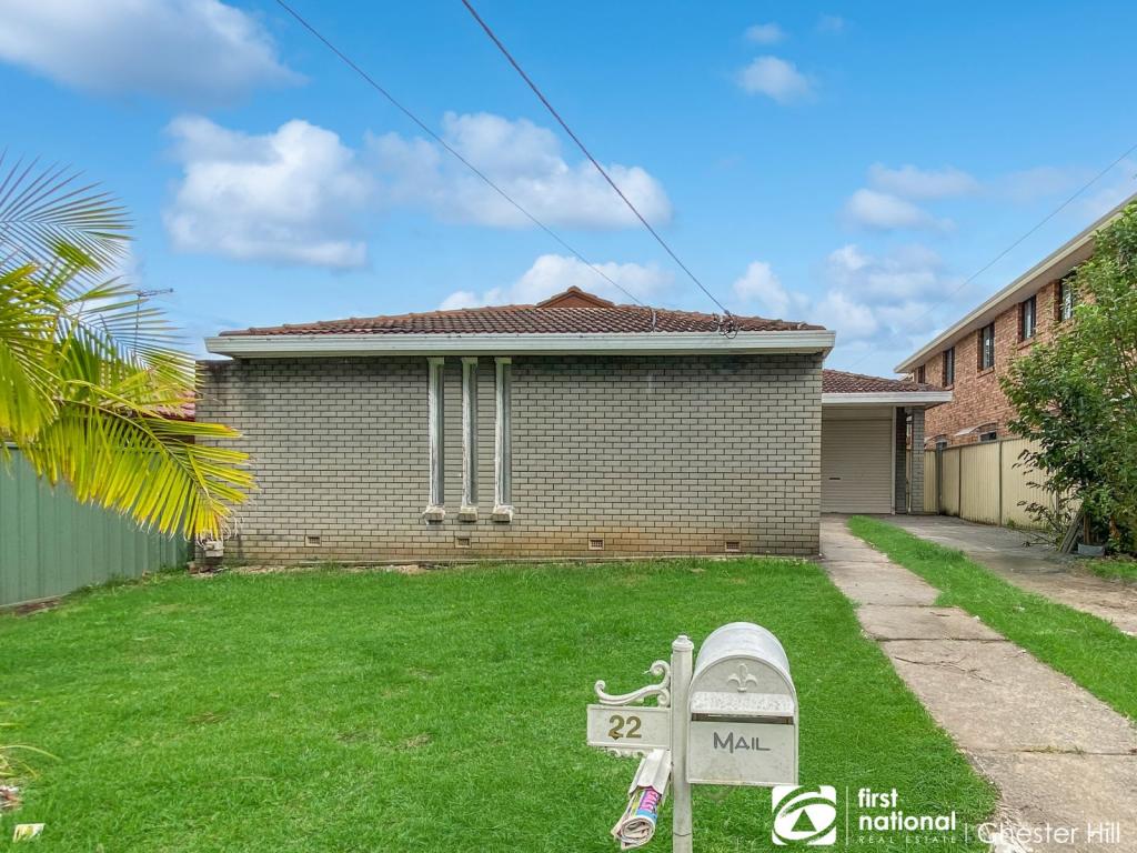 22 Joan St, Chester Hill, NSW 2162