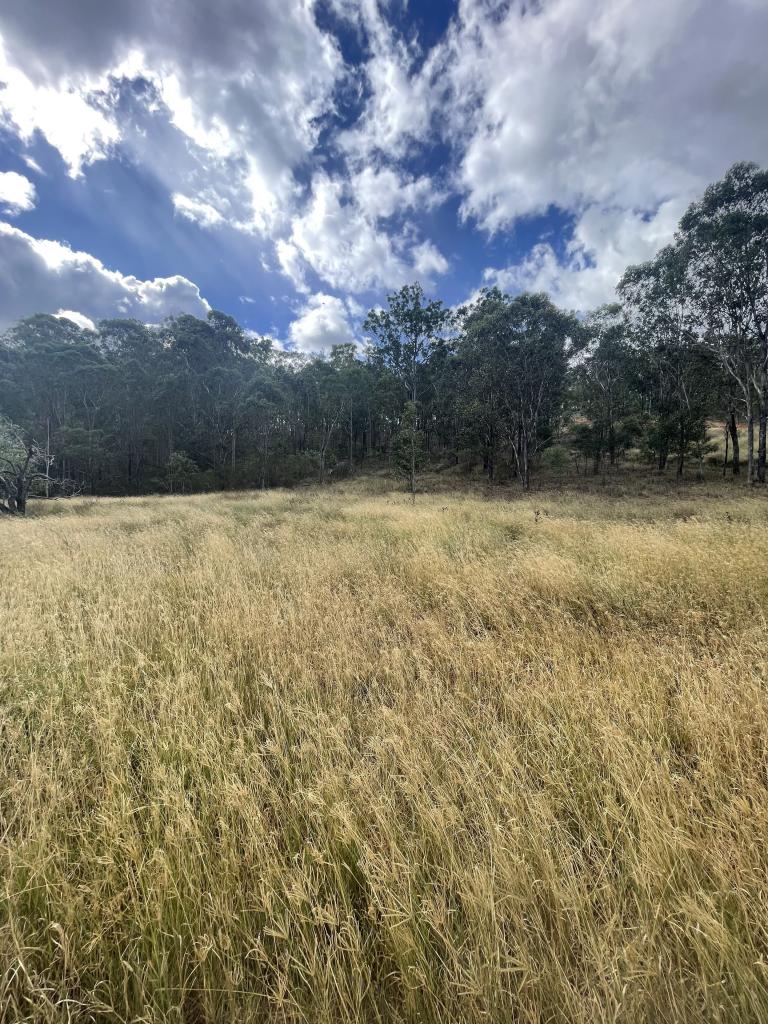 Lot 1 Red Gap Rd, Mulgowie, QLD 4341
