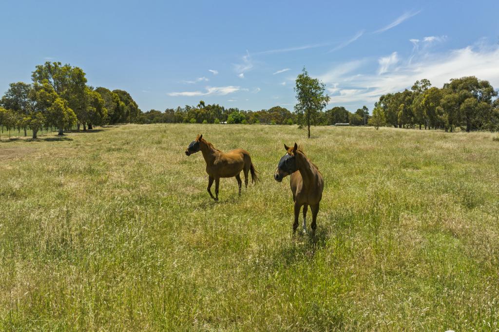 806 Aerodrome Rd, Avenel, VIC 3664