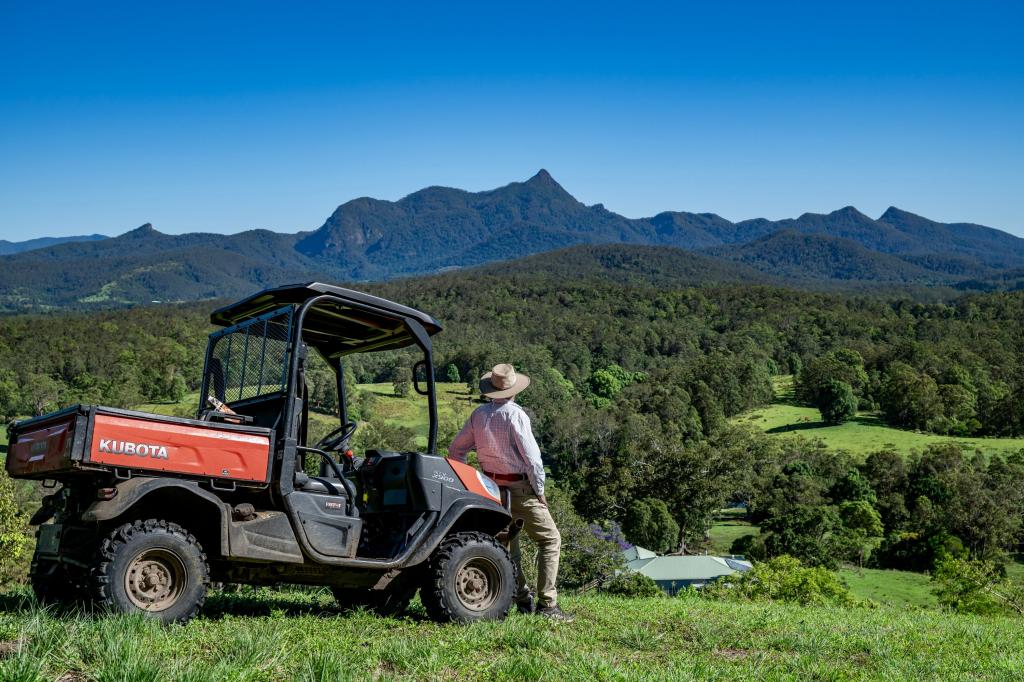 148 PINE LOG RD, DOON DOON, NSW 2484