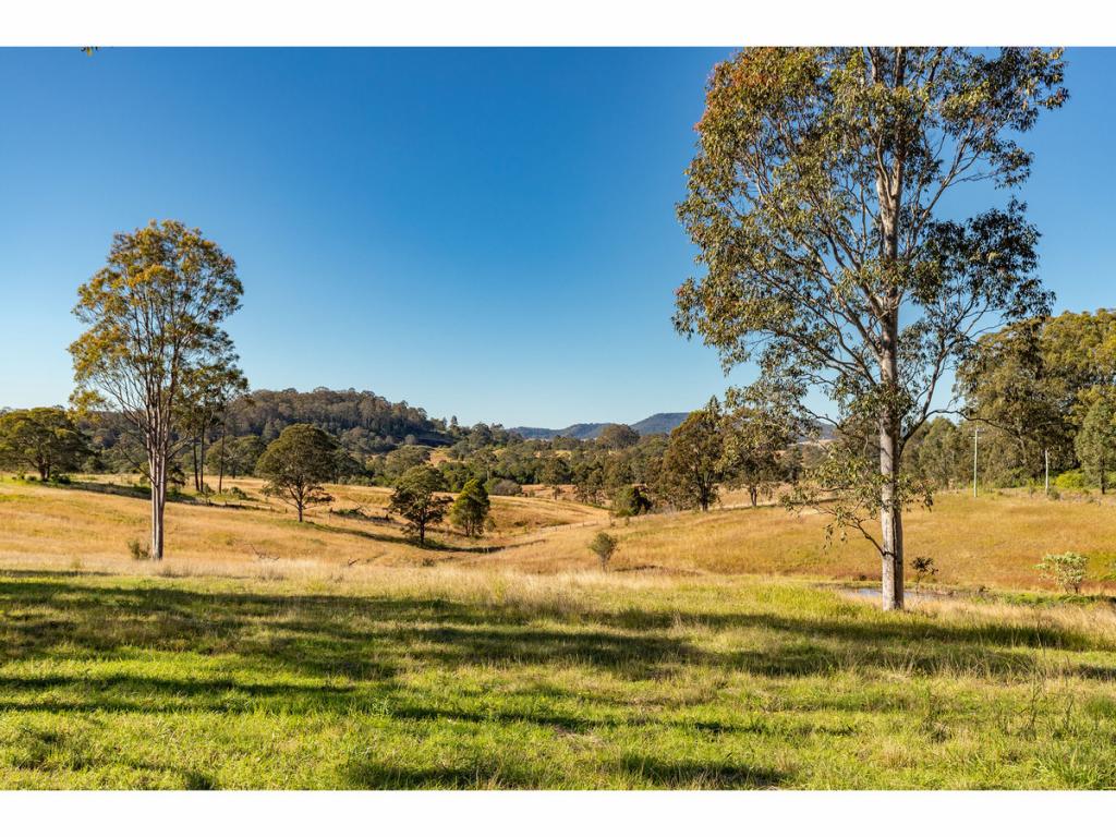 1595 Willina Rd, Bunyah, NSW 2429