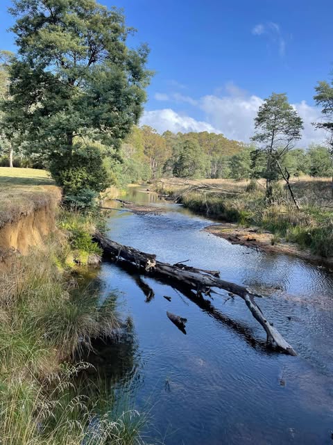  Pages Rd, Calder, TAS 7325