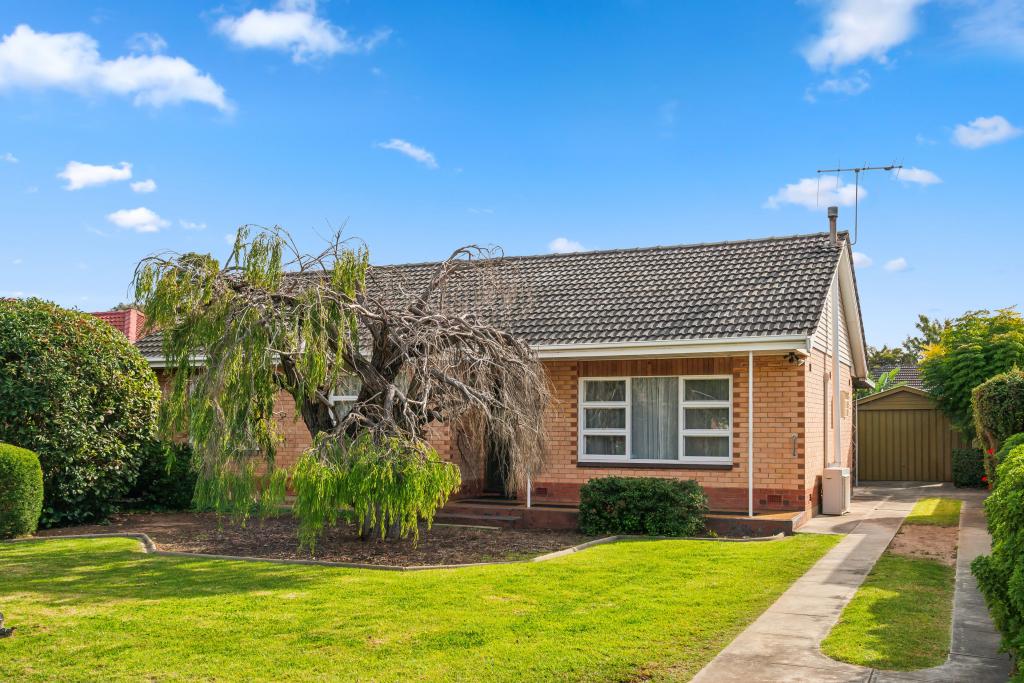 16 Clyde St, Marion, SA 5043