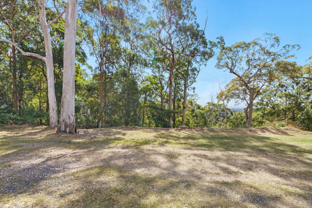 46 LANDMAN CT, CLAGIRABA, QLD 4211