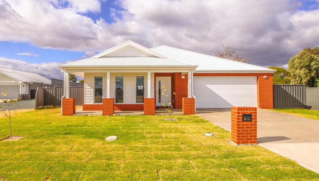 3 ROBERT WALTER PL, DENILIQUIN, NSW 2710