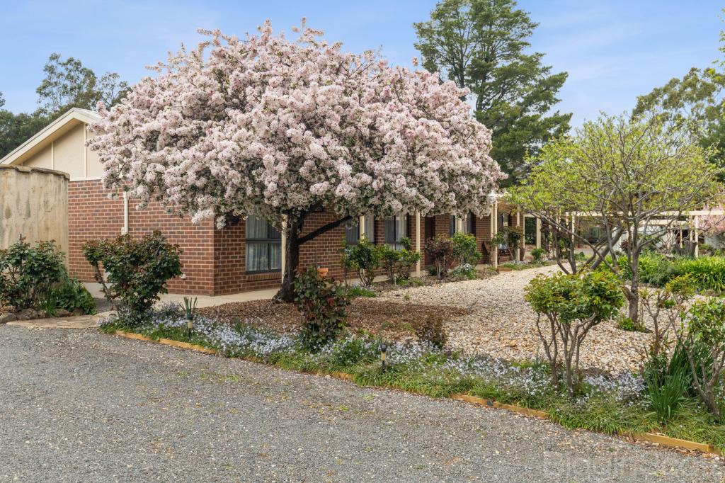 492 Maldon Newstead Rd, Welshmans Reef, VIC 3462