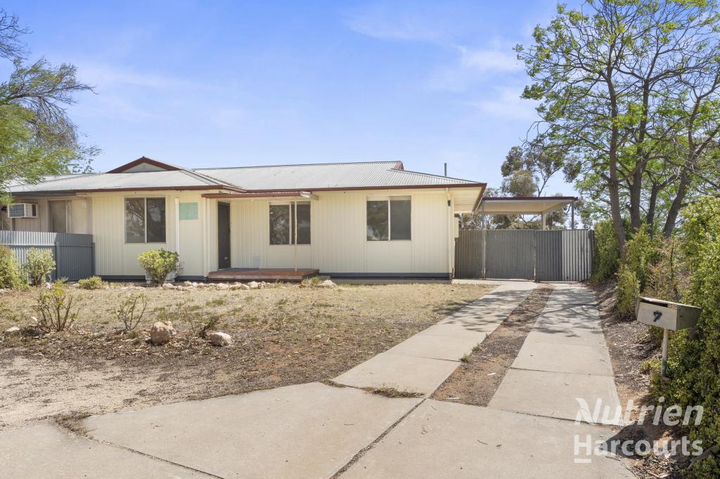 7 Paddick St, Berri, SA 5343