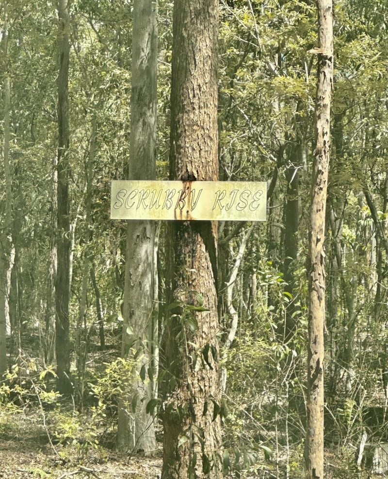 289 MT MULGOWIE RD, MULGOWIE, QLD 4341