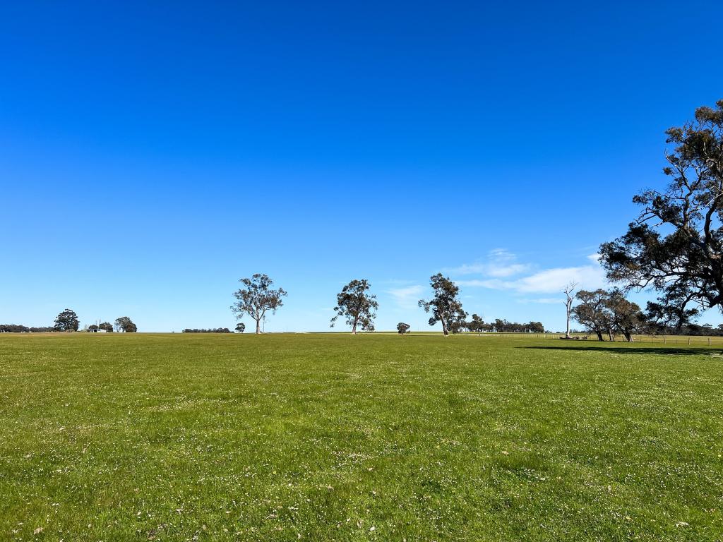 353 FRANKLAND-CRANBROOK RD, FRANKLAND RIVER, WA 6396