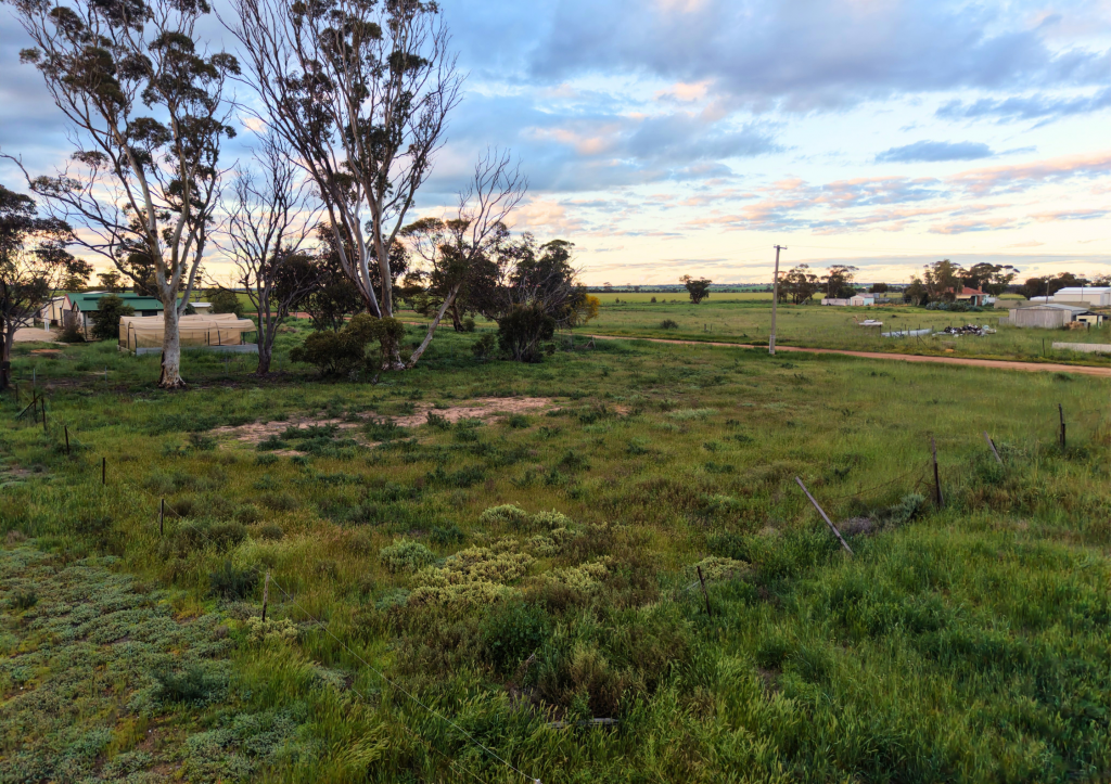 Lot 74 George St, Doodlakine, WA 6411