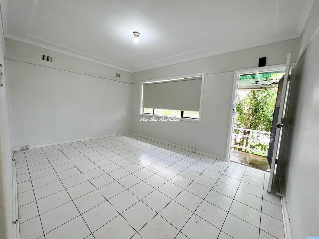 111 Wyong St, Canley Heights, NSW 2166