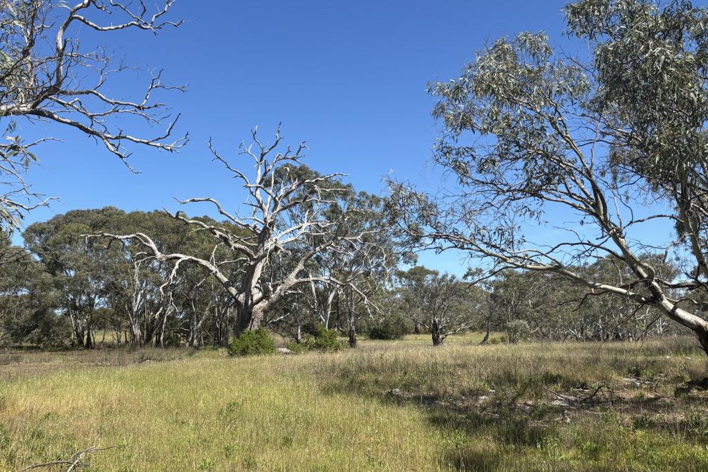 Lot 9 Flinders Hwy, Wangary, SA 5607