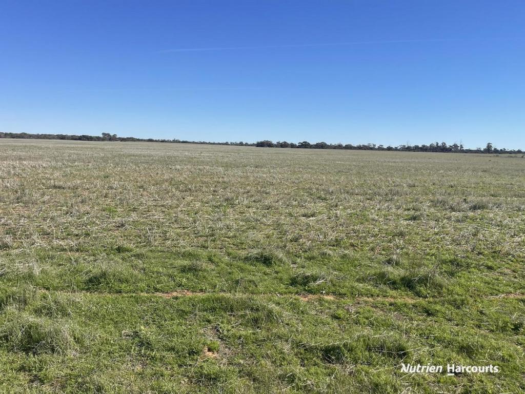 331 Red Dam Rd, Cleary, WA 6472