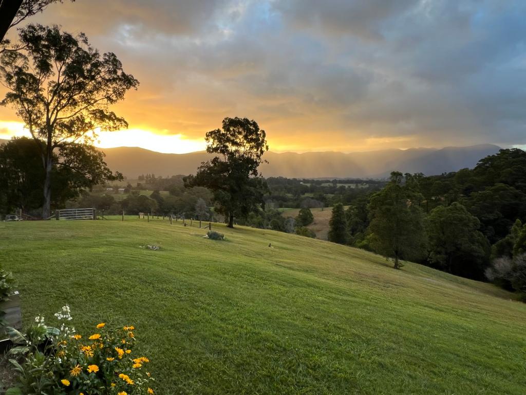 1475 Byrrill Creek Rd, Brays Creek, NSW 2484