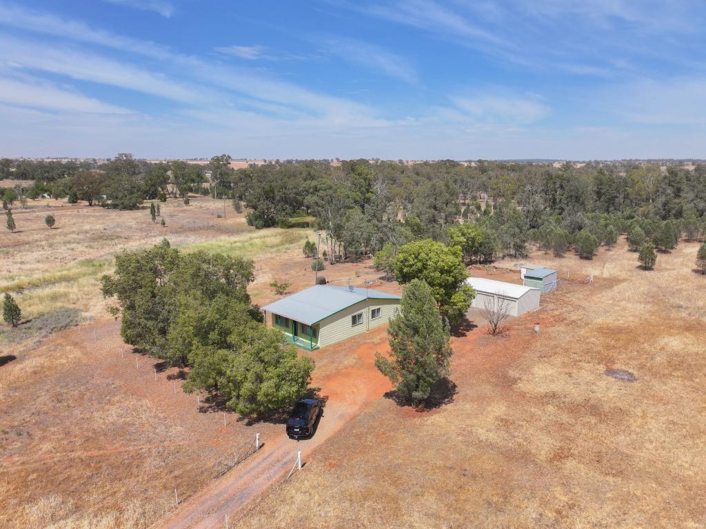 4189 Newell Hwy, Trewilga, NSW 2869