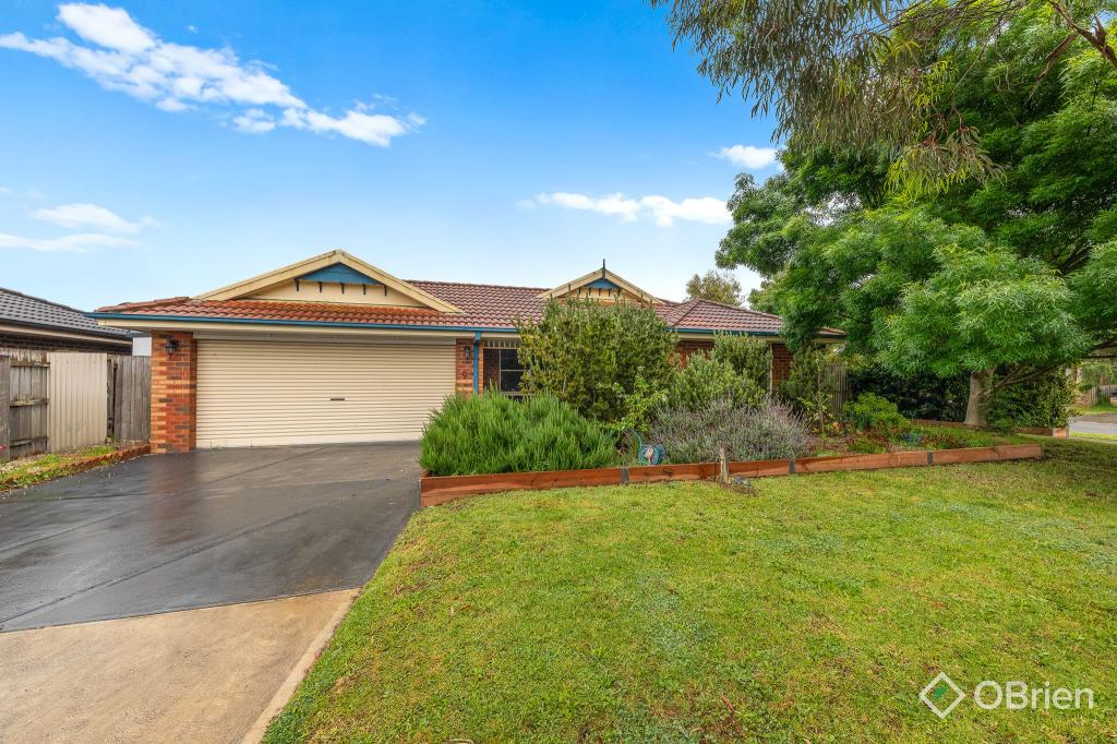 9 Cathy Clifford Ct, Hastings, VIC 3915