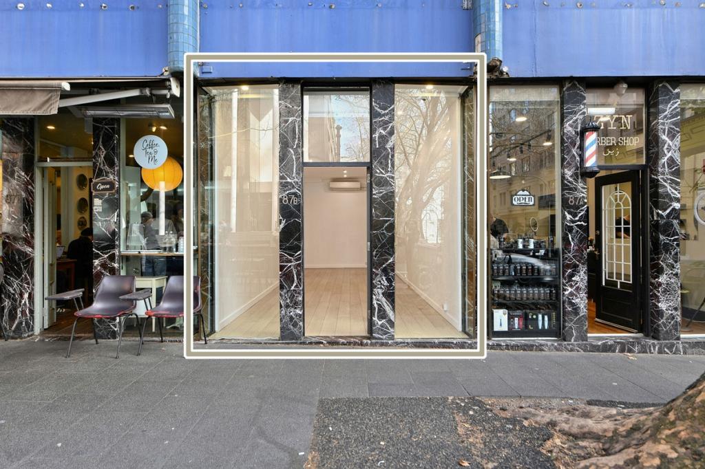 87b Macleay St, Potts Point, NSW 2011