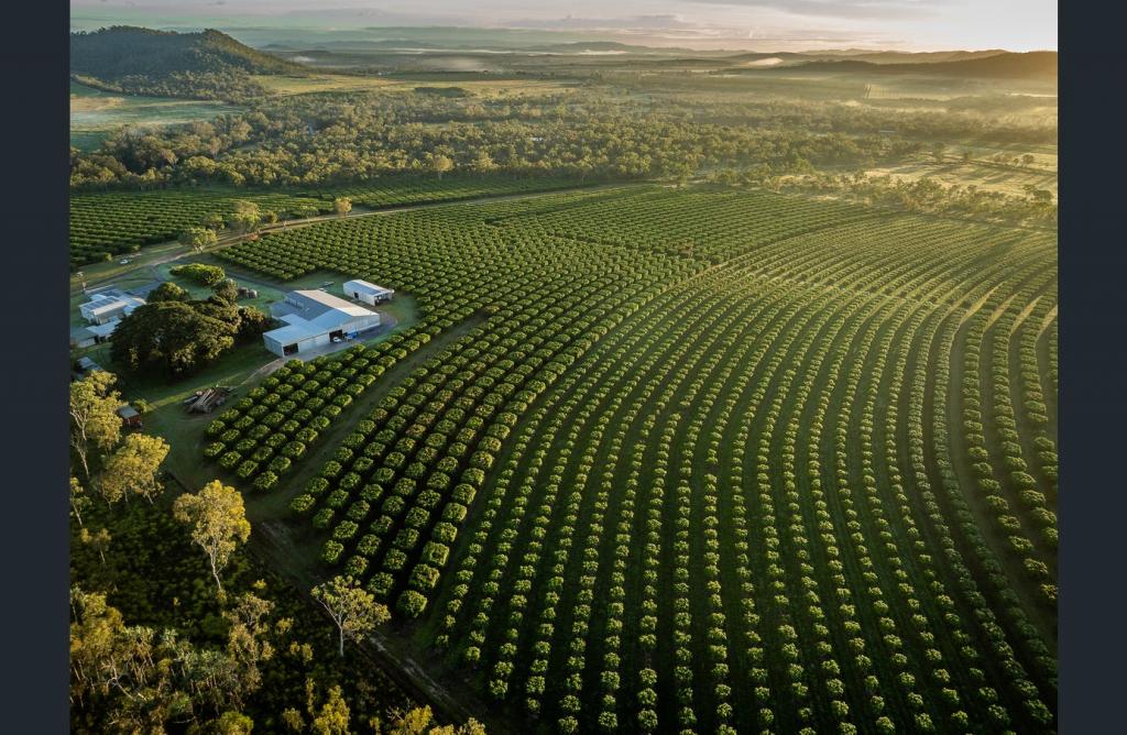 85 Schincariol Rd, Dimbulah, QLD 4872