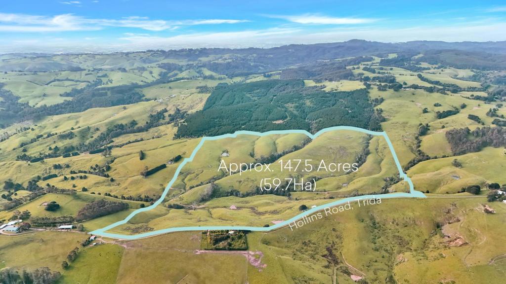 160 Hollins Rd, Trida, VIC 3953