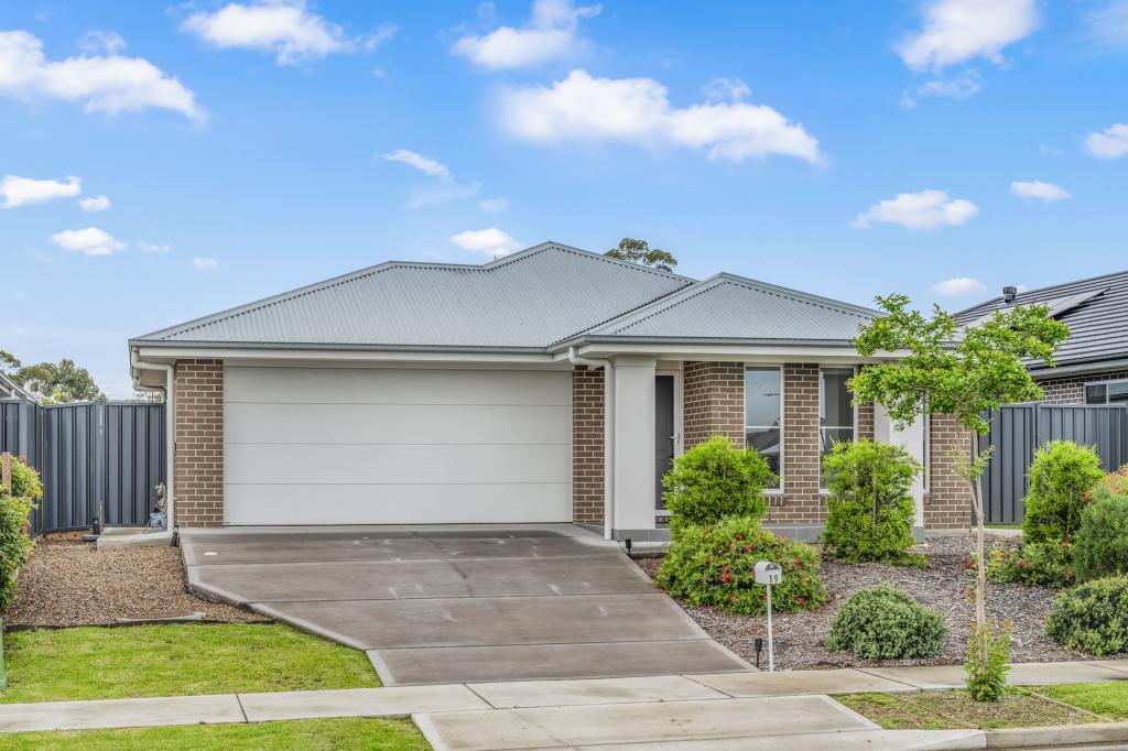 19 Springfield Dr, Lochinvar, NSW 2321