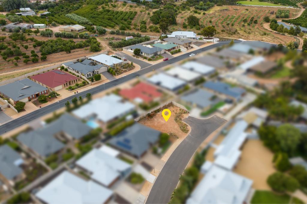 13 Antony St, Berri, SA 5343