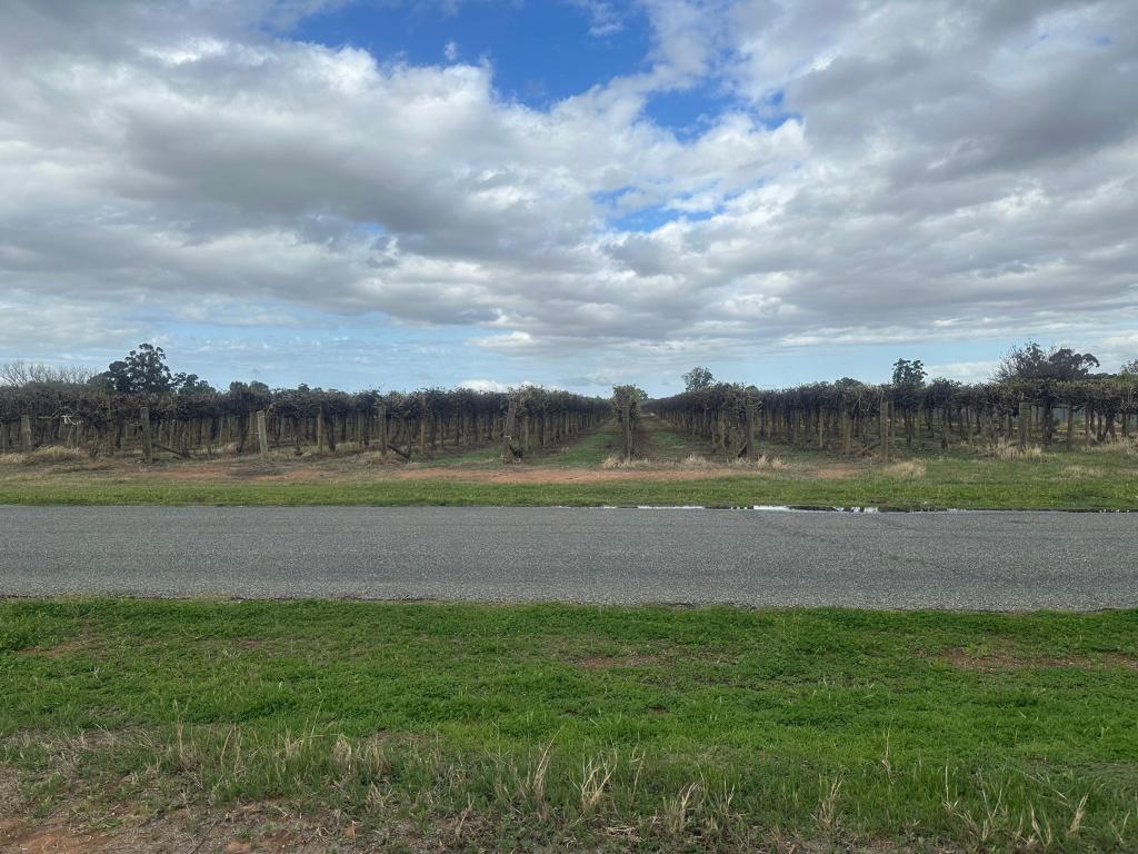 Lot 24 Tarcoola St, Renmark West, SA 5341