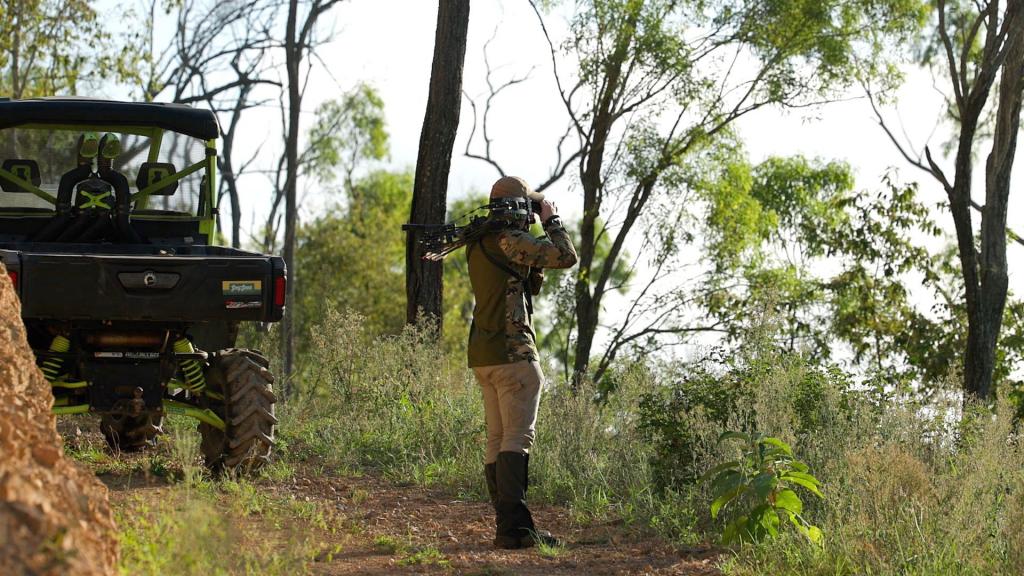 466 Glenhowden Rd, Colinton, QLD 4314