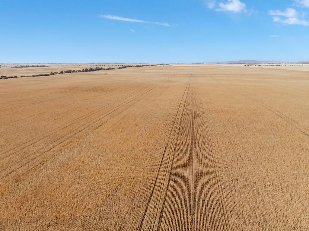 'Barunga West' Tower View Rd, Wokurna, SA 5520