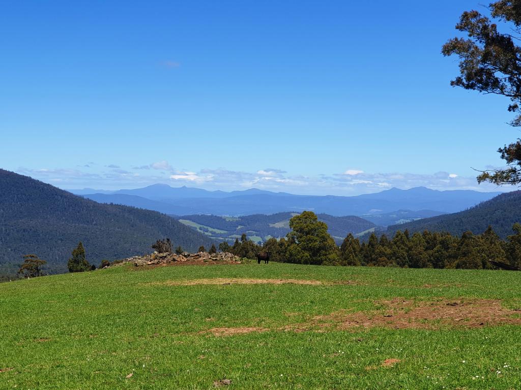 Lot 1 (51 Acres) Coal Mine Rd, Kaoota, TAS 7150