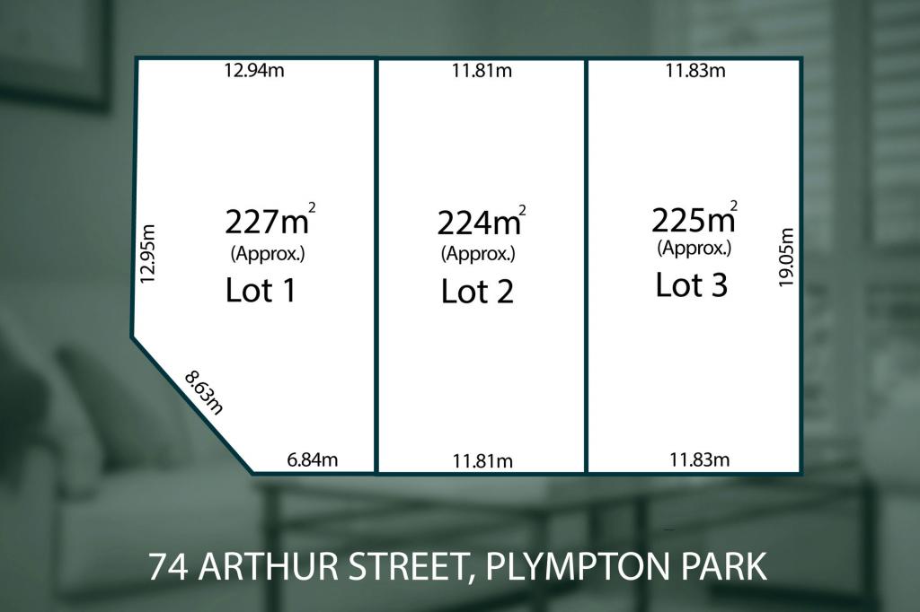 74 Arthur St, Plympton Park, SA 5038