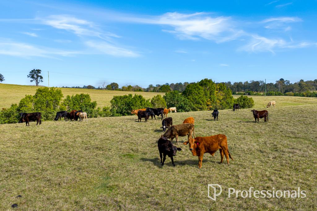 122 FITZPATRICK RD, THE DAWN, QLD 4570
