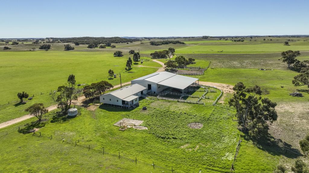 907 Pascoe Rd, Coonalpyn, SA 5265