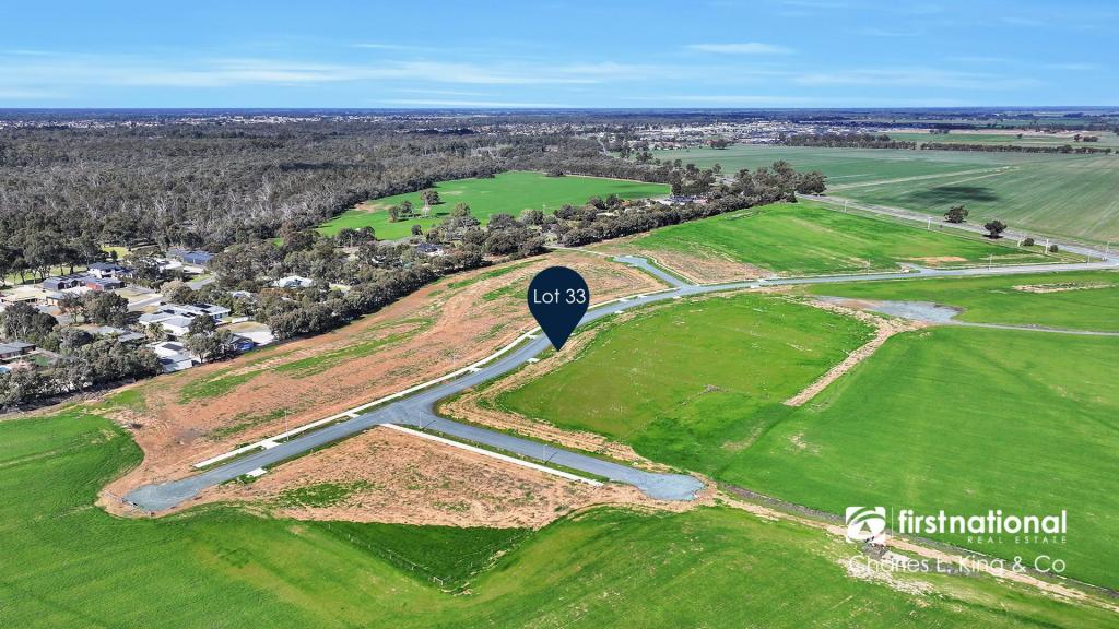 17 Woolshed Dr, Echuca, VIC 3564