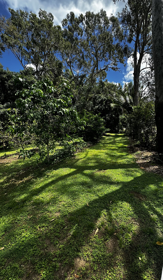 36 Prince Charles Ave, Seaforth, QLD 4741