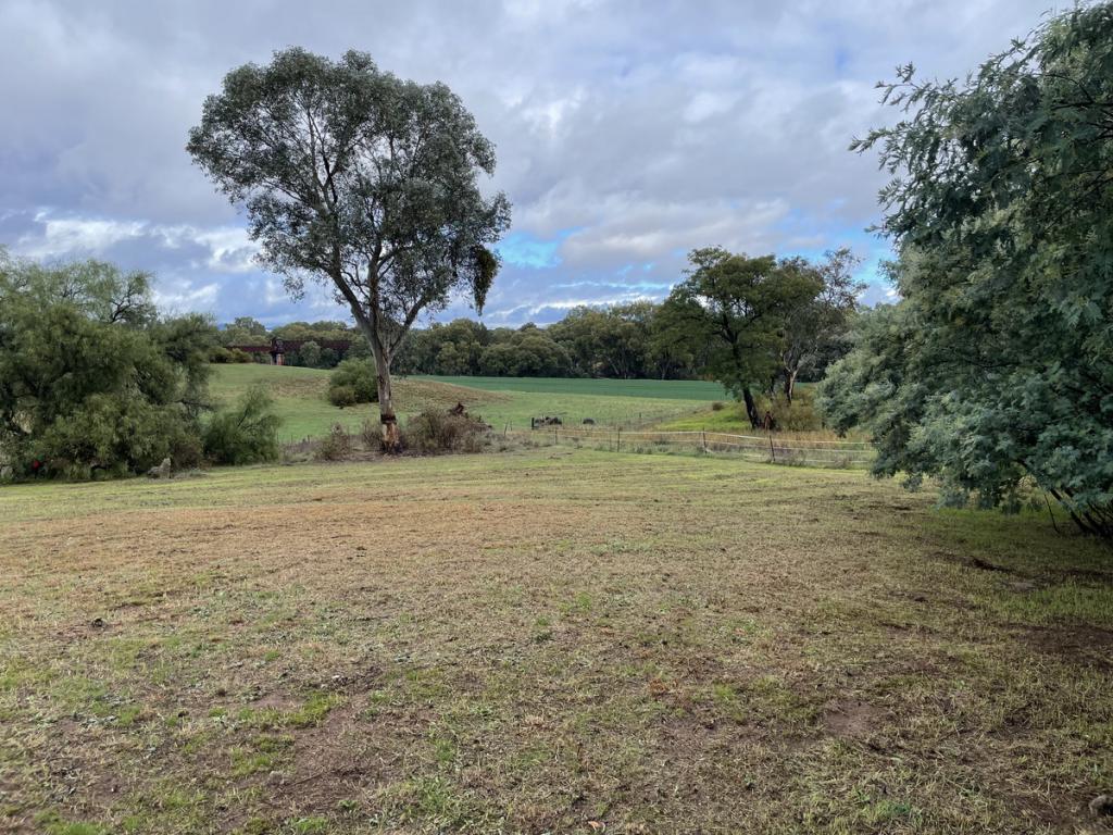 48 TARAGALA ST, COWRA, NSW 2794
